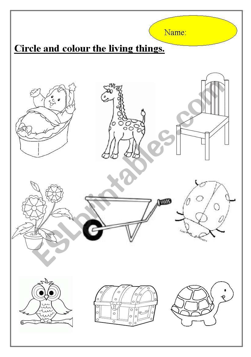 living and non-living things worksheet