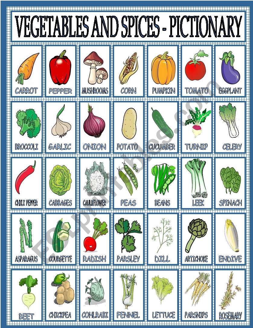 Vegetables and spices - pictionary