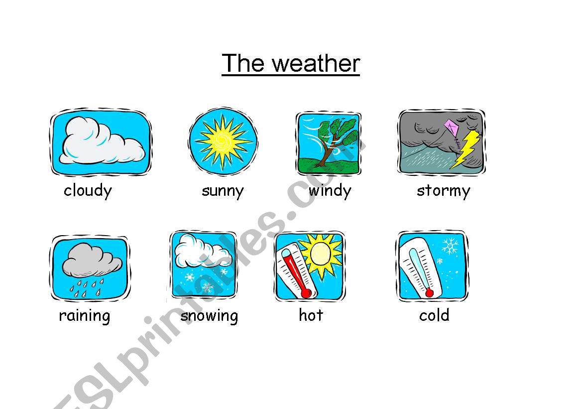 Weather worksheet