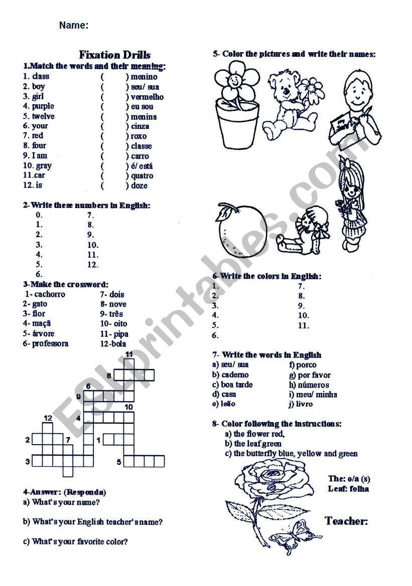 exercise of english worksheet