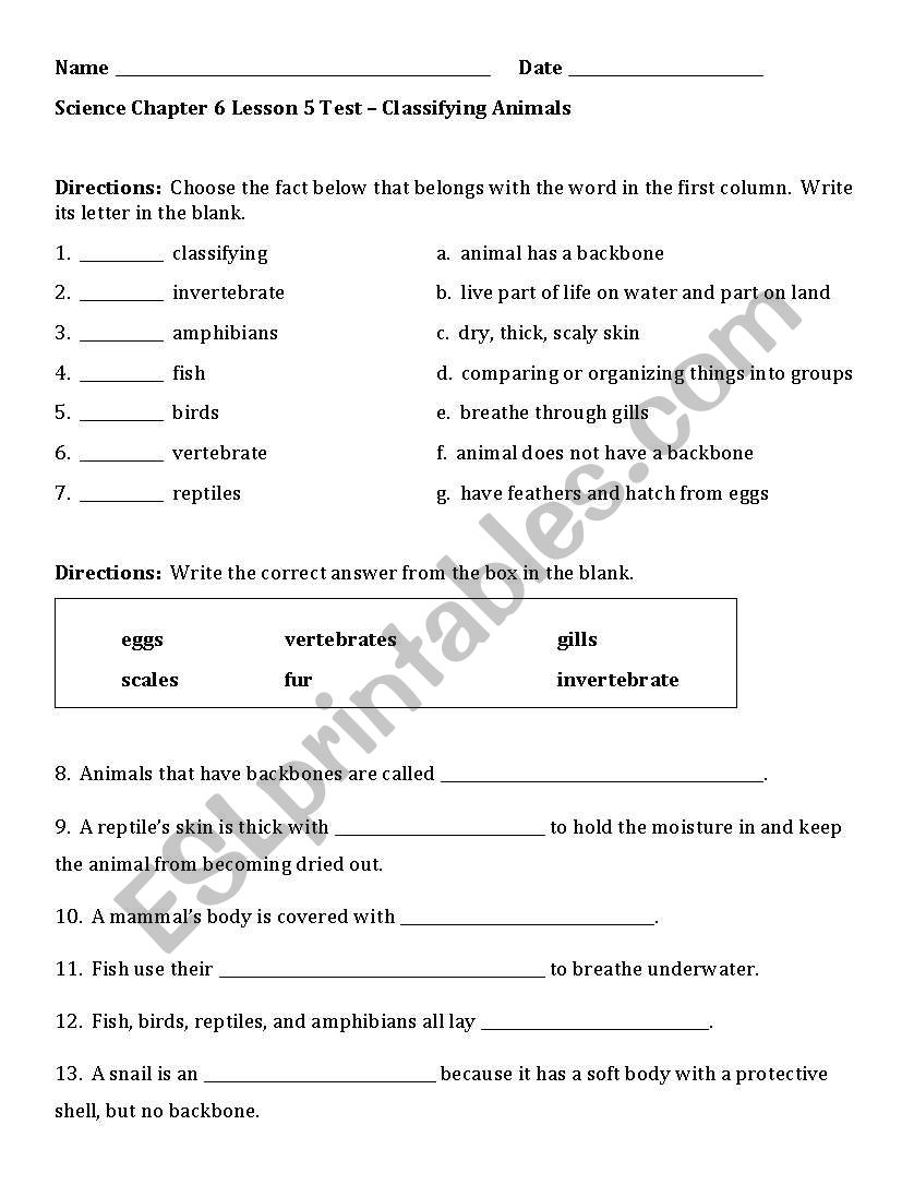 3rd Grade Classifying Animals Test