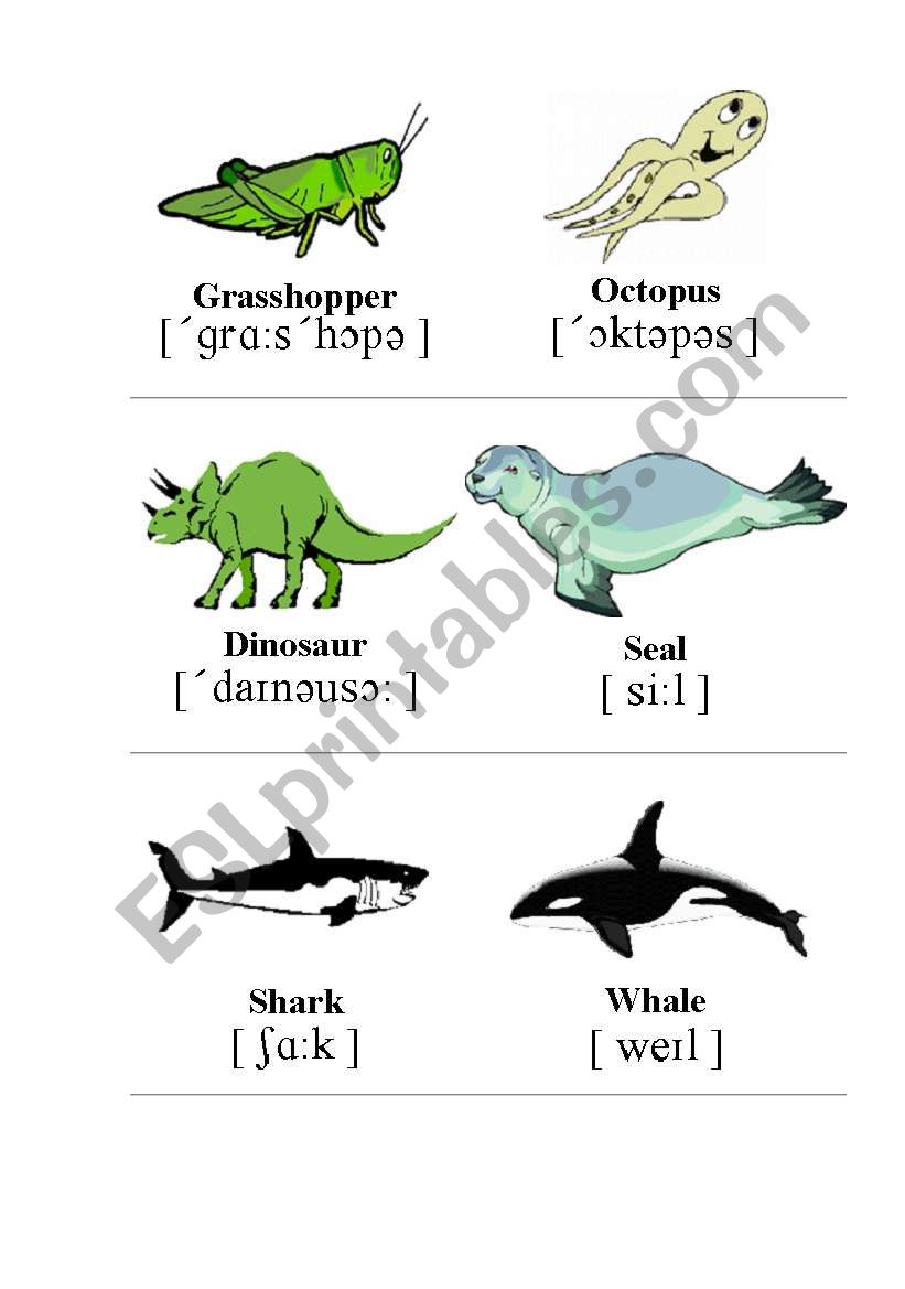 Animals worksheet