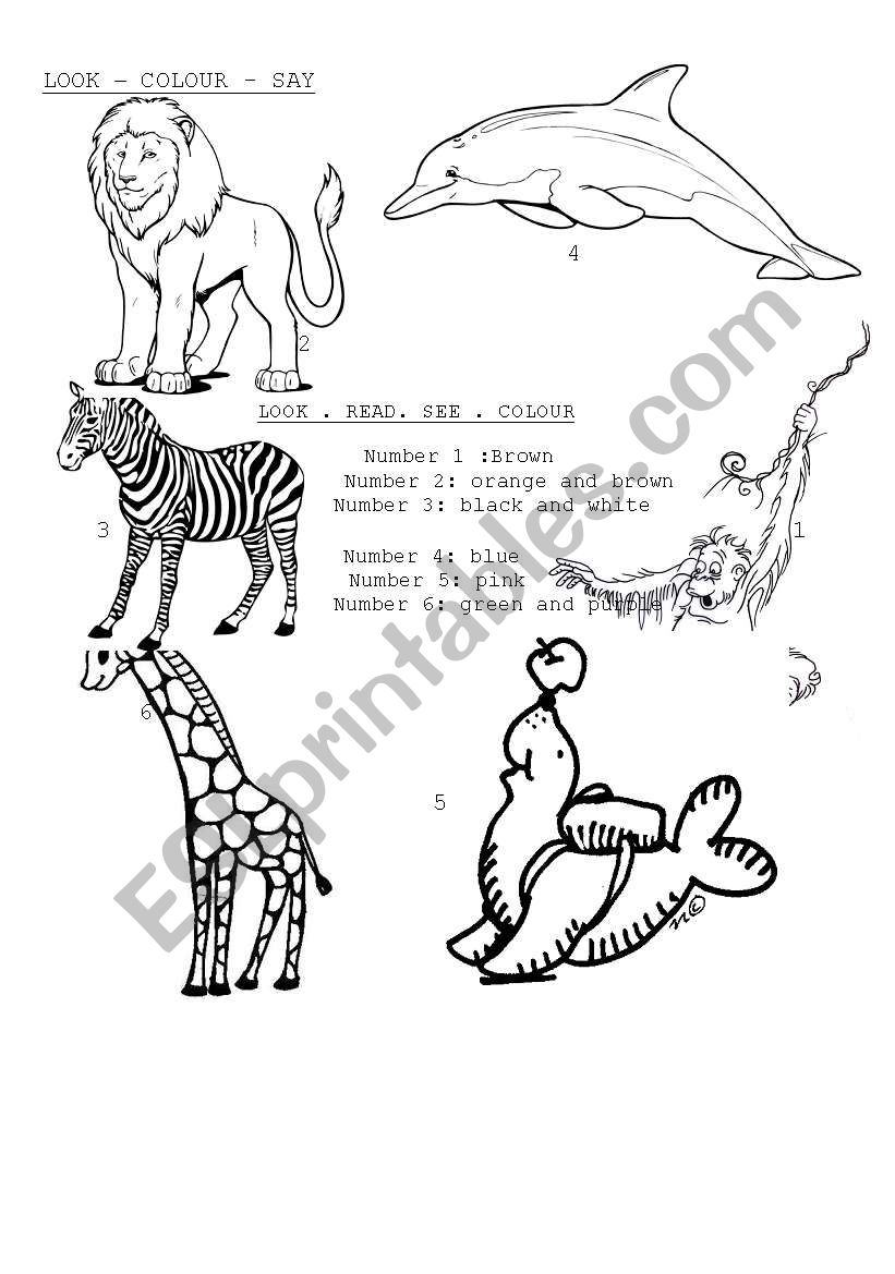 zoo animals worksheet