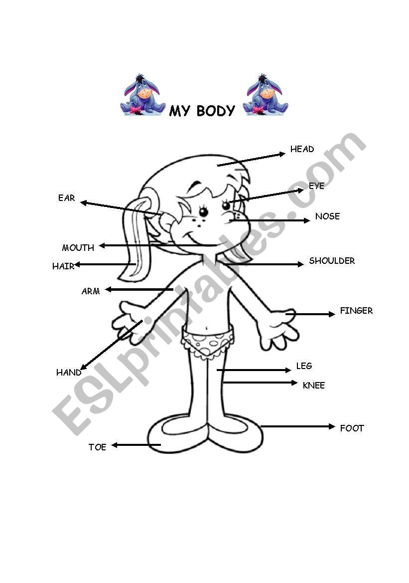 body parts worksheet