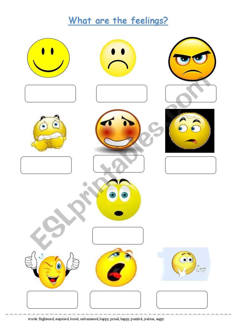 Learn the Feelings worksheet worksheet