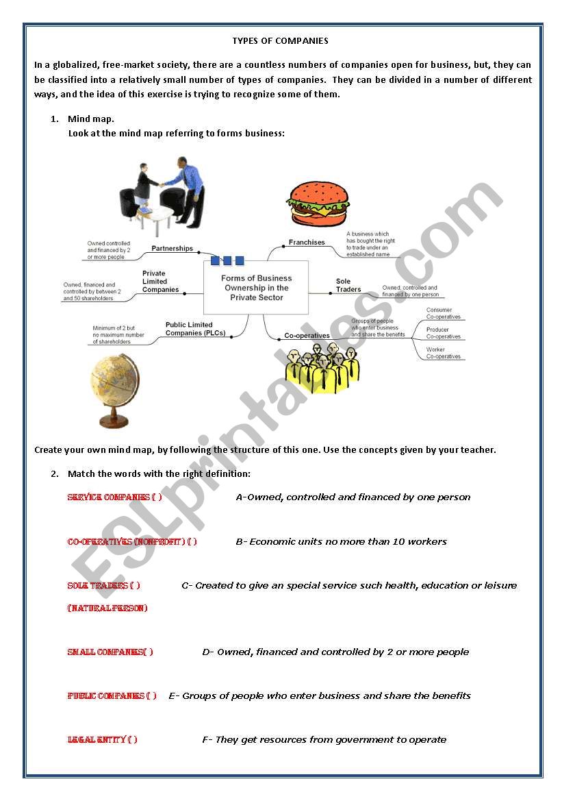 Type of companies worksheet