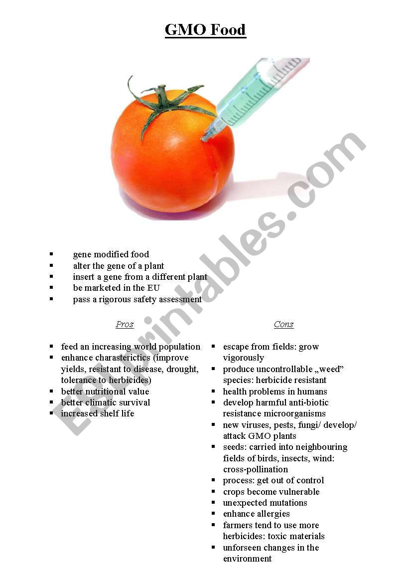 gmo food worksheet