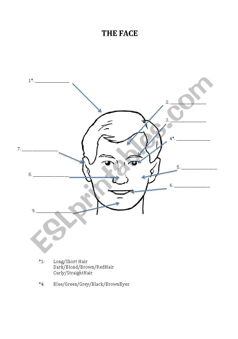 The Human Body worksheet