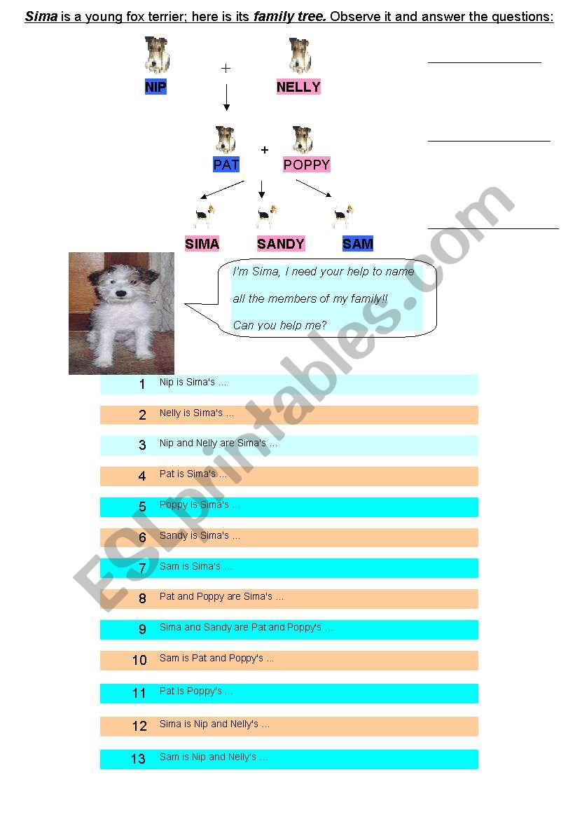 Relatives and Family worksheet