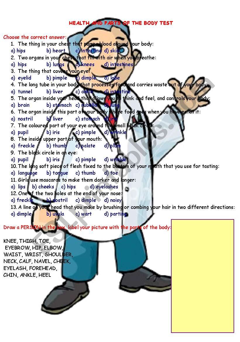 Health and body parts test worksheet