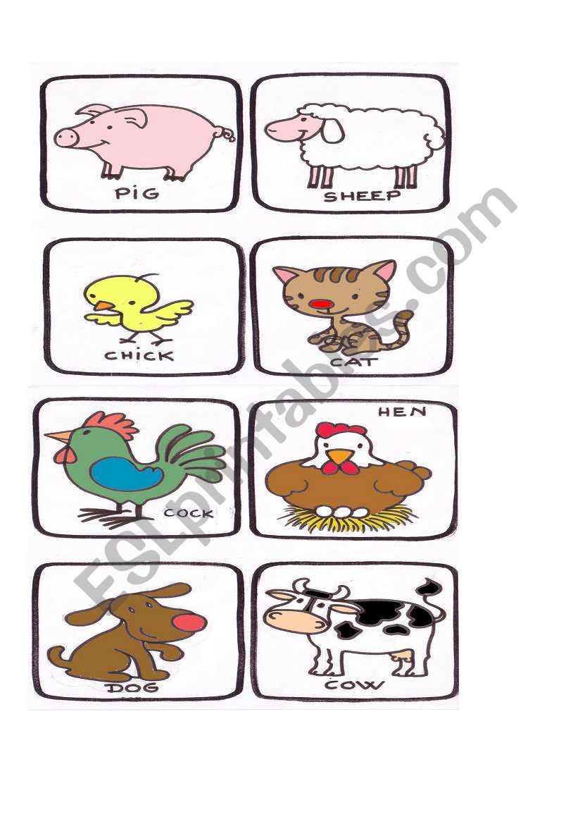 Animals worksheet