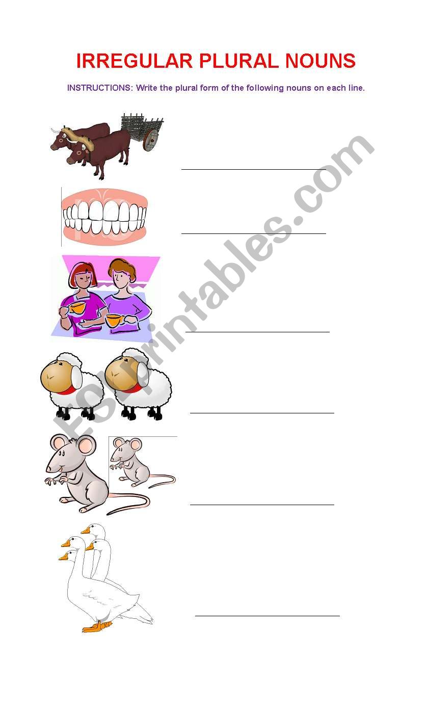 Irregular Plural Nouns worksheet