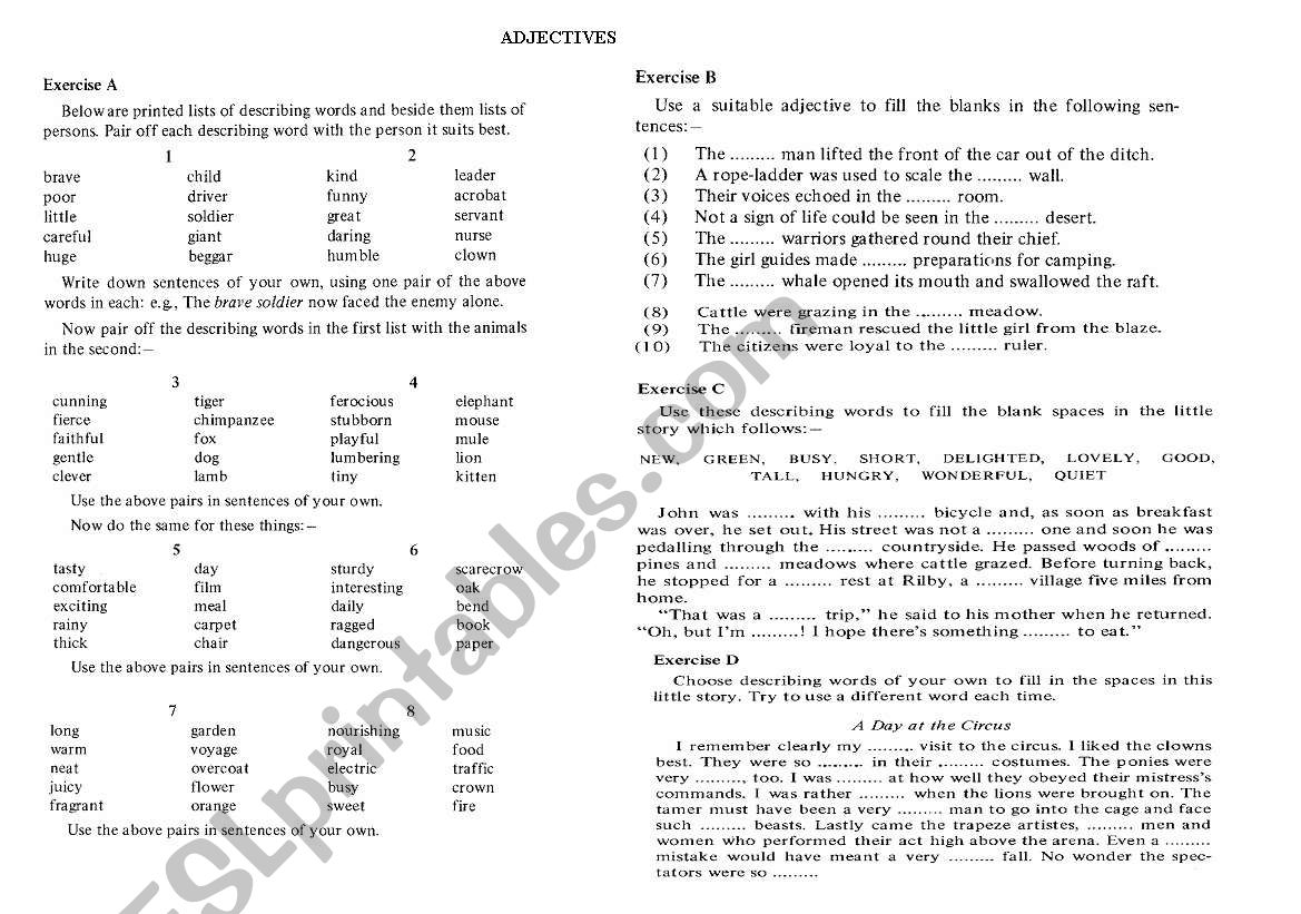 Adjectives exercises  worksheet