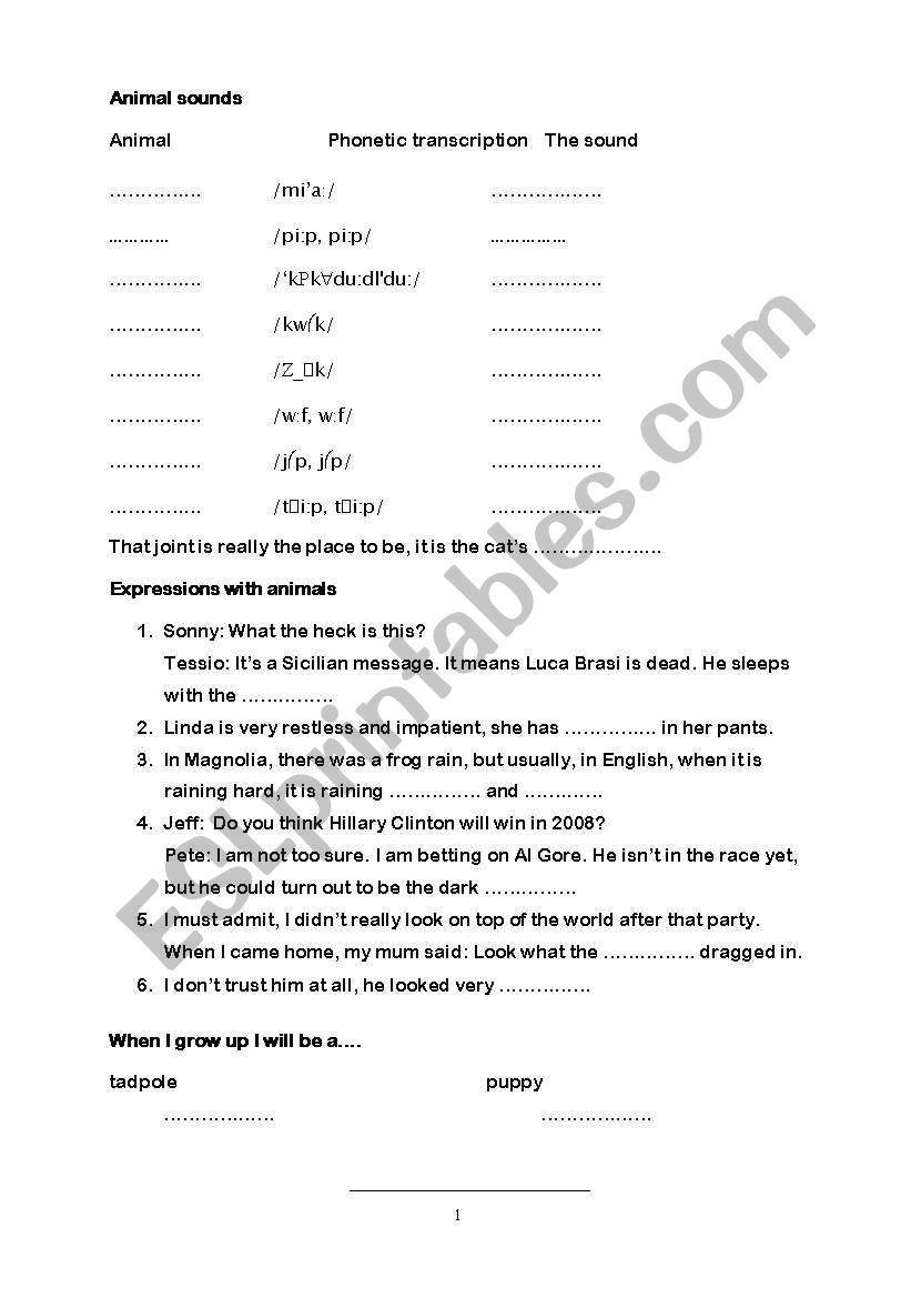 Animal rights worksheet