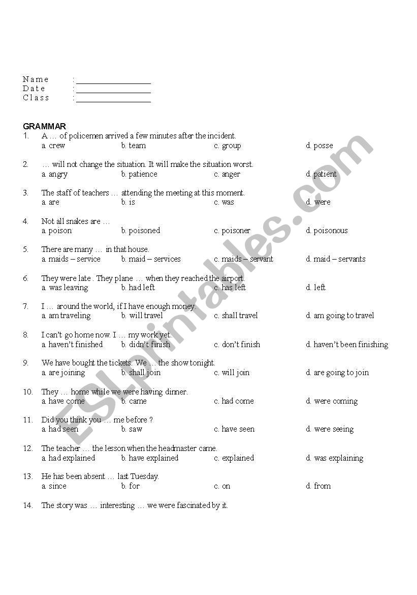 Grammar Intermediate test worksheet