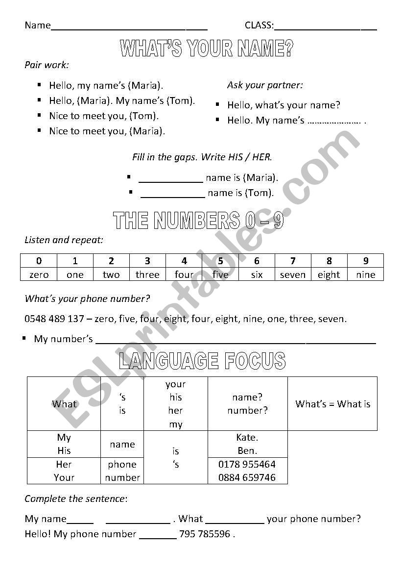 Whats your name worksheet