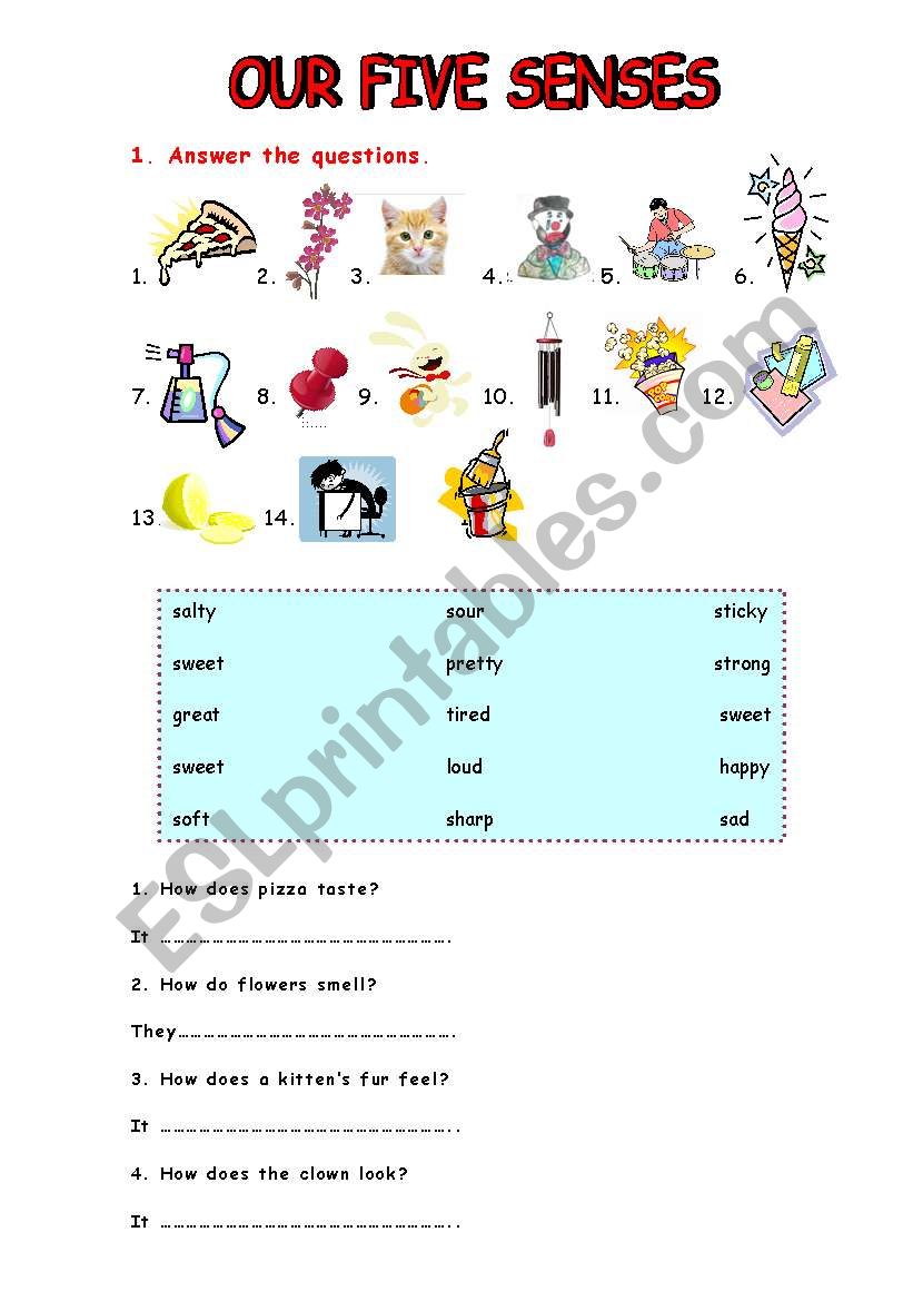 Five Senses worksheet