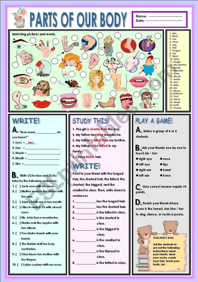 Parts of our body worksheet