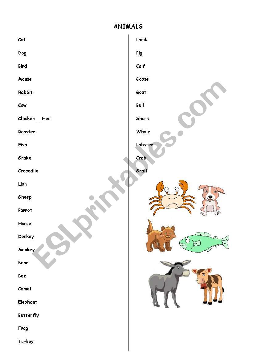 animals worksheet