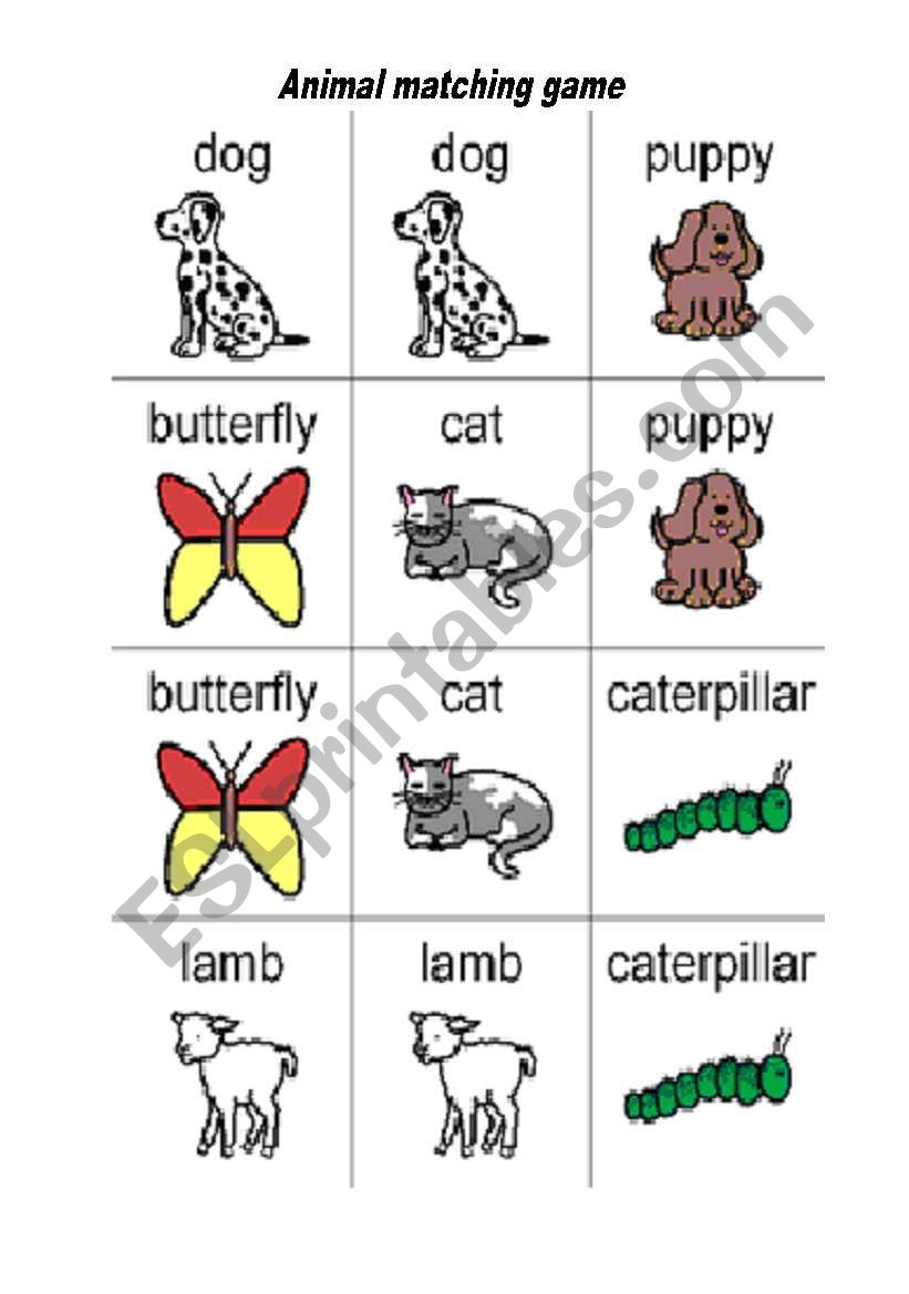 animal matching worksheet