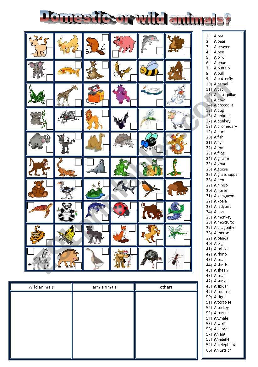 60 ordinary and wild animals worksheet