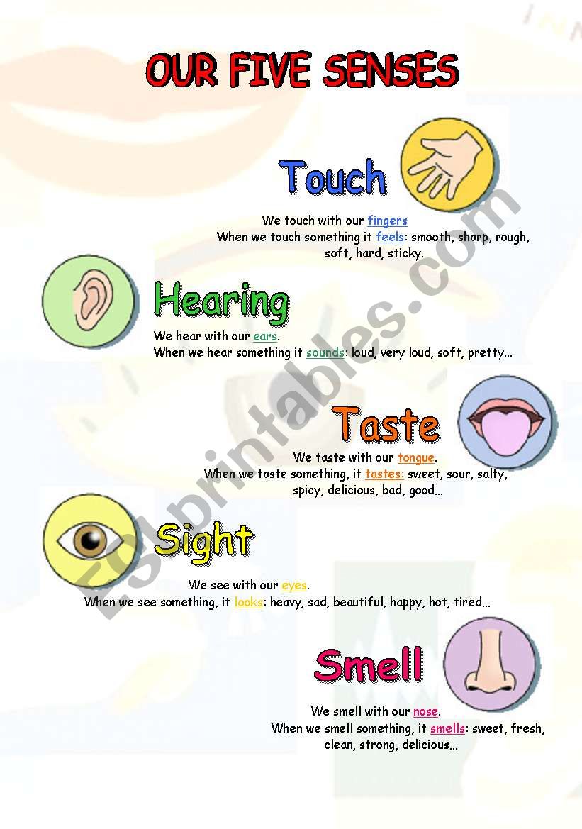 OUR FIVE SENSES worksheet