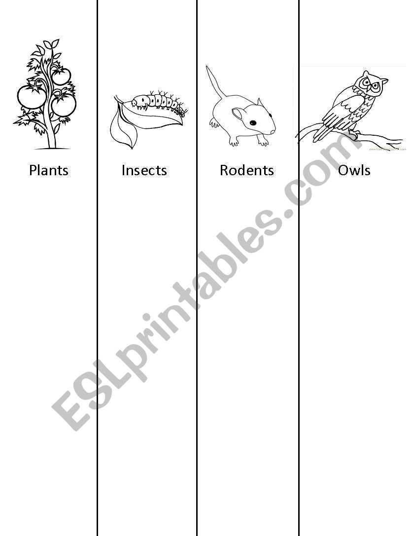 Owl Food Chain worksheet