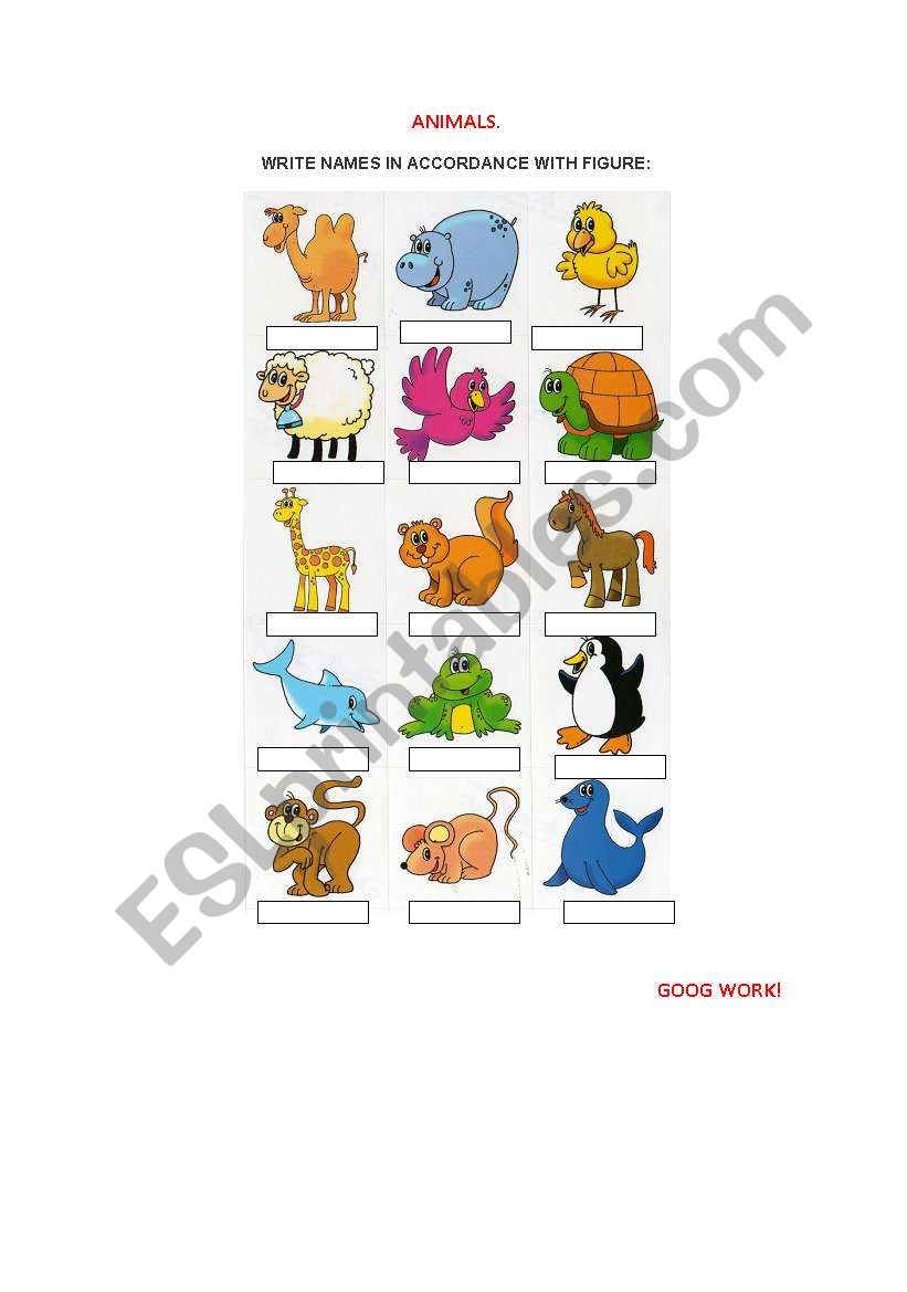 The animals worksheet