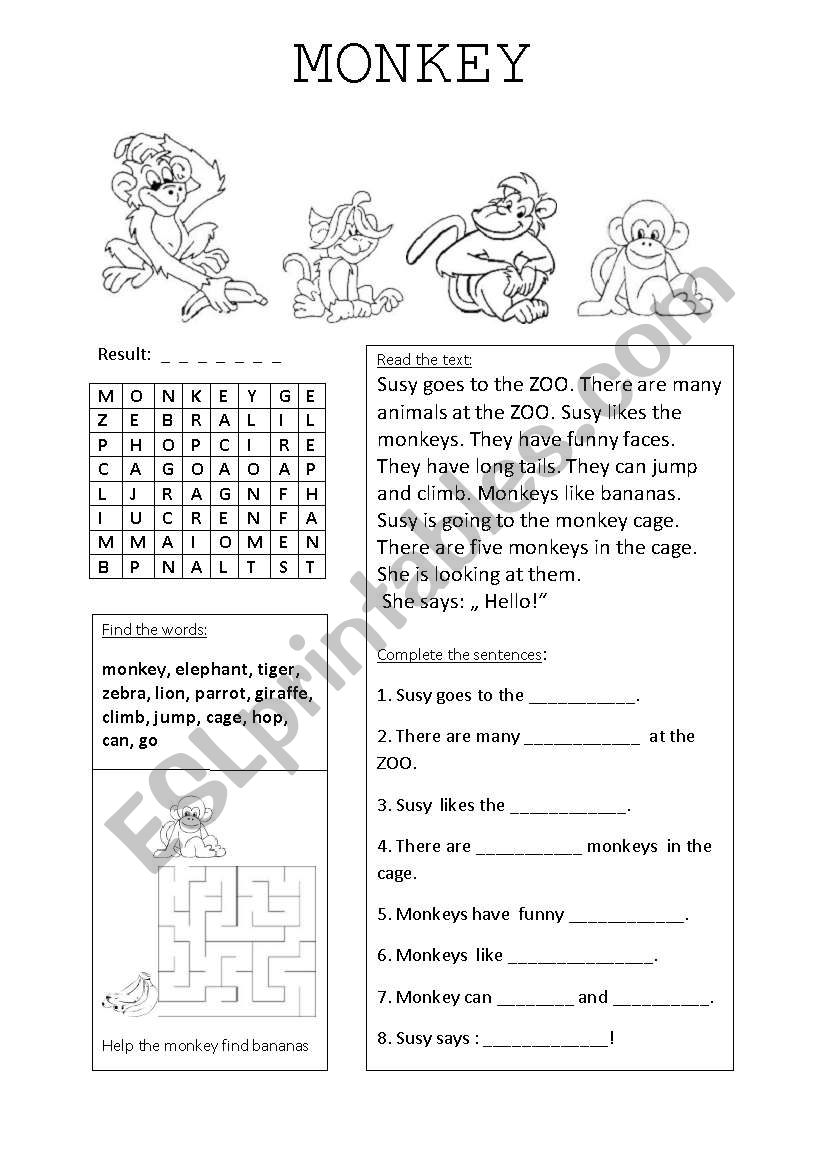 Monkey worksheet