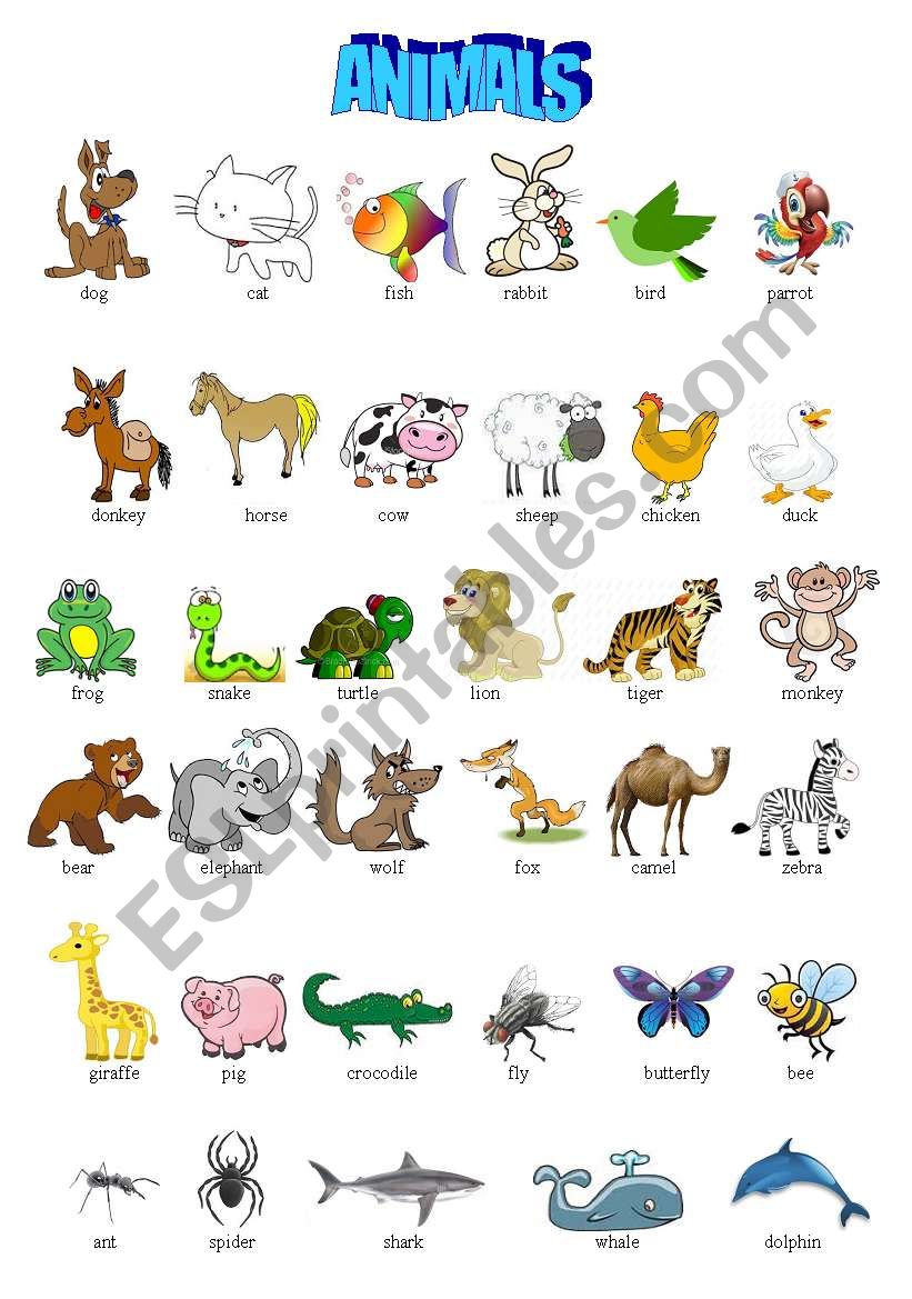 ANIMALS PICTIONARY worksheet