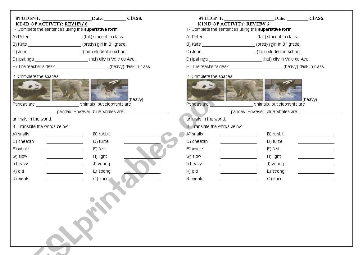 REVIEW 6 8TH GRADE, ADJECTIVES, SUPERLATIVE