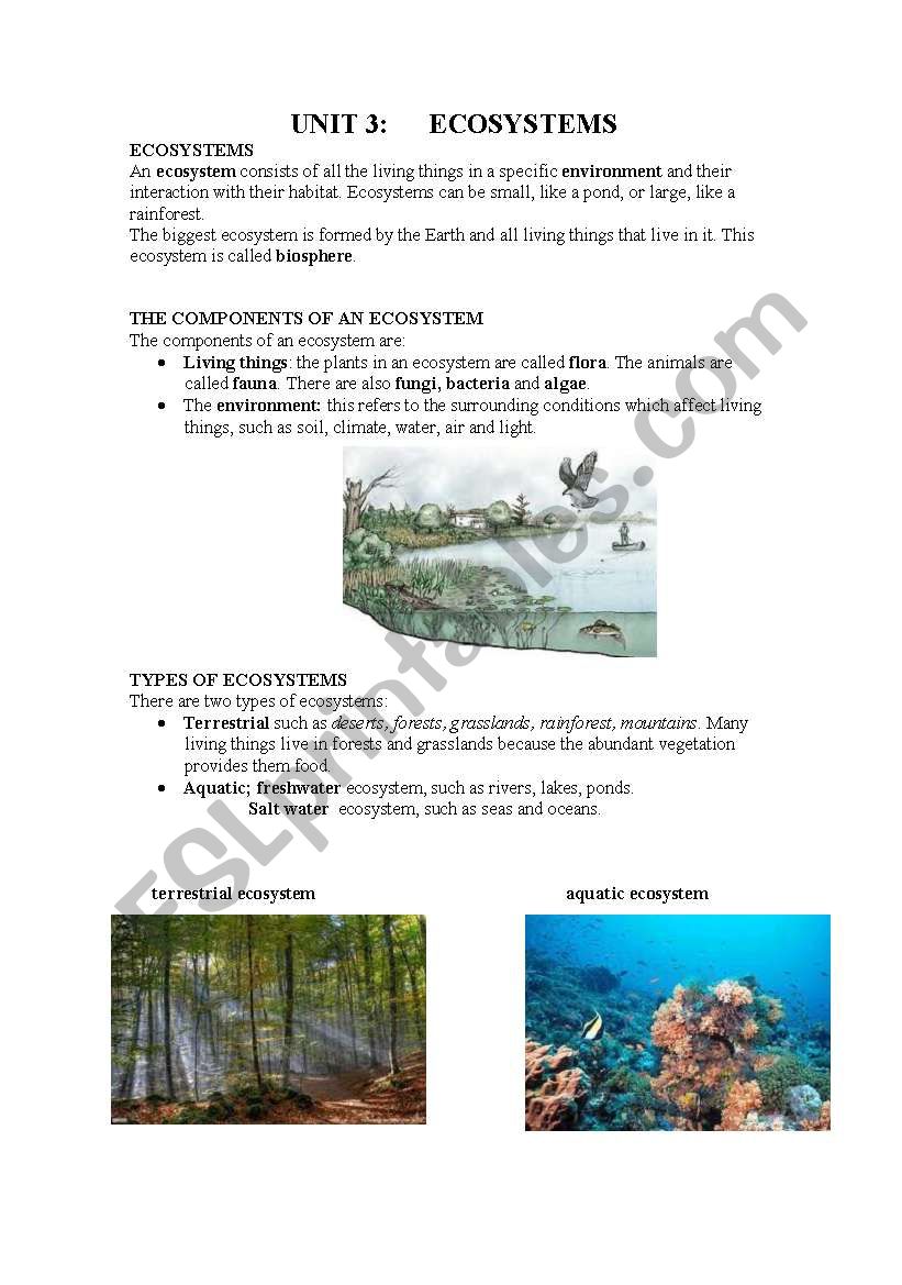 ecosystems worksheet