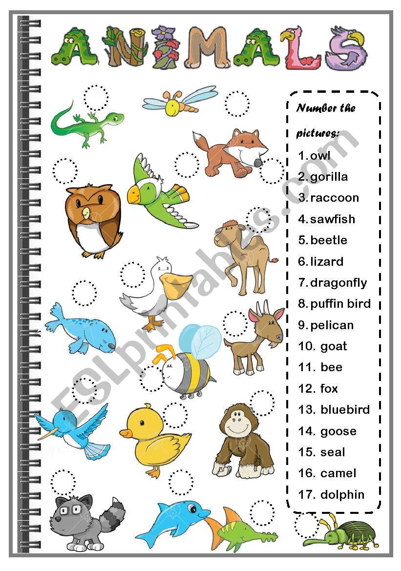 animals 2 worksheet