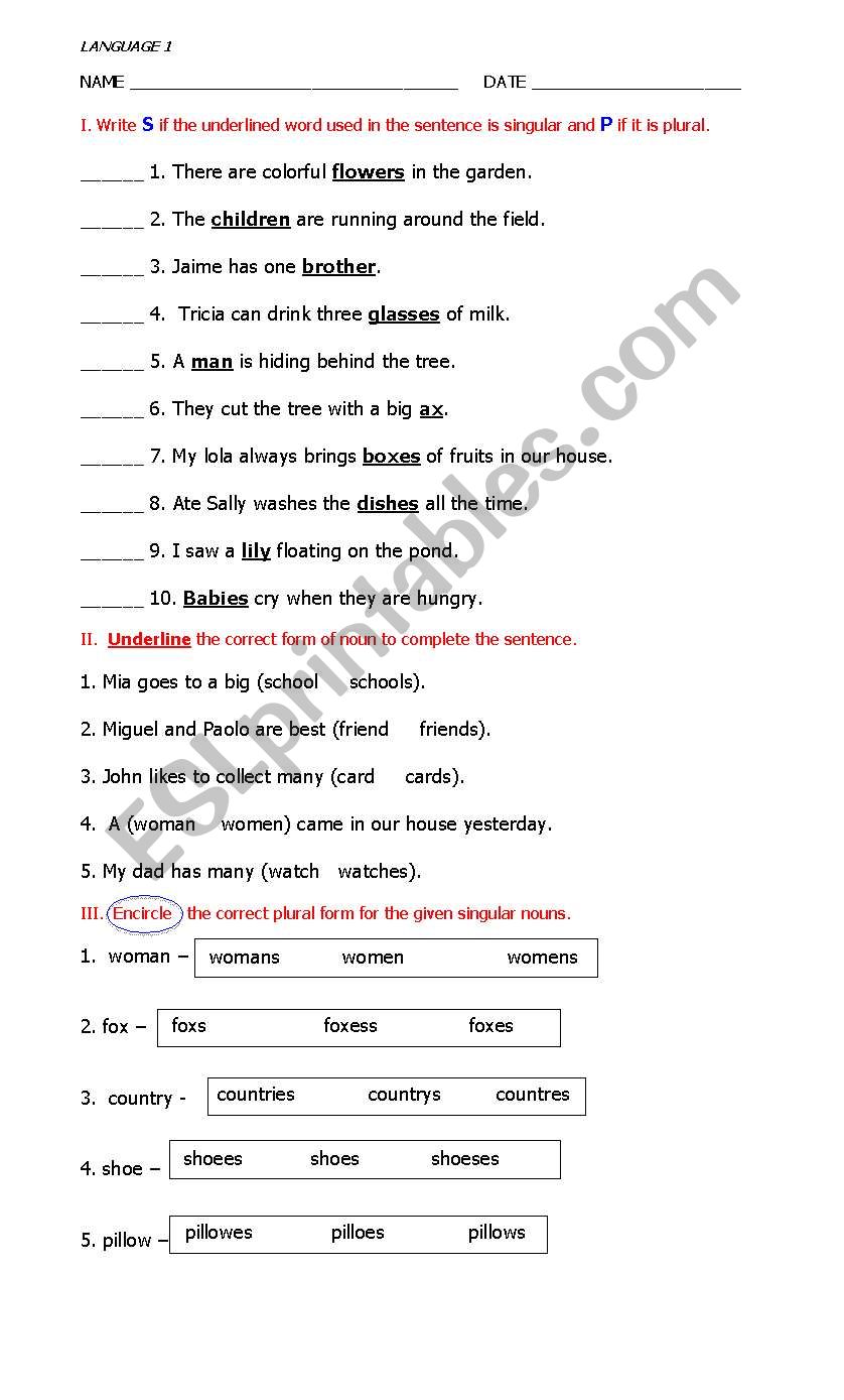 SINGULAR AND PLURAL NOUNS worksheet