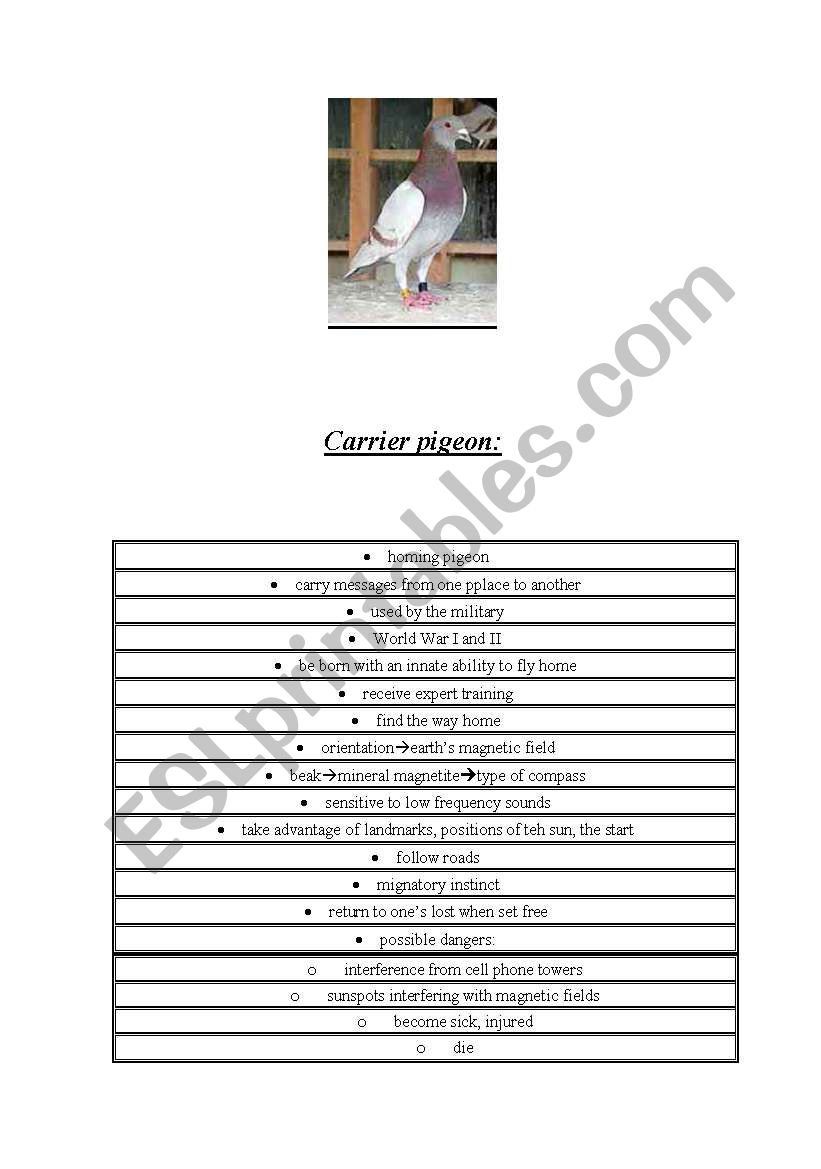 carreer pigeon worksheet