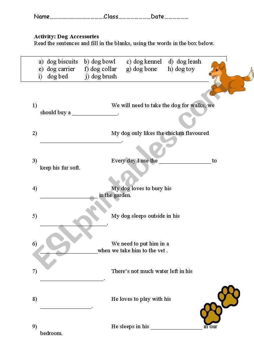 Dog Accessories worksheet