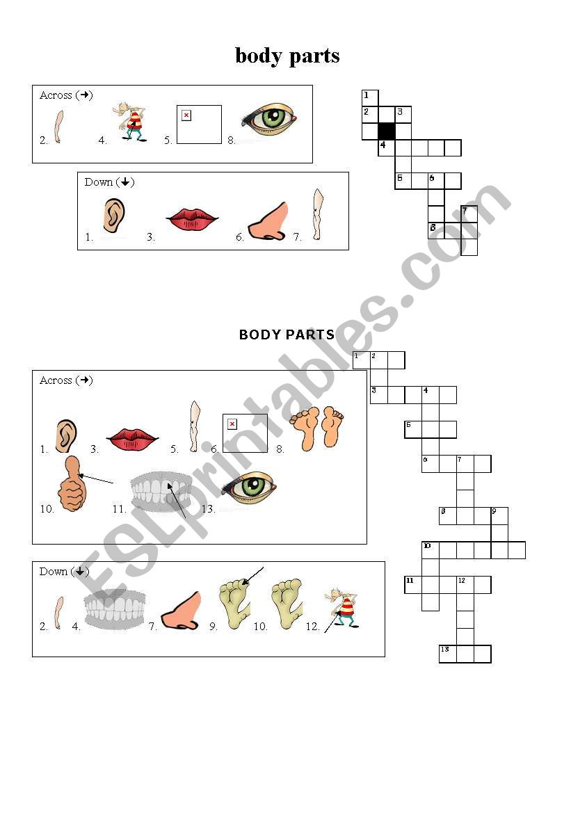 Body parts criss cross puzzles