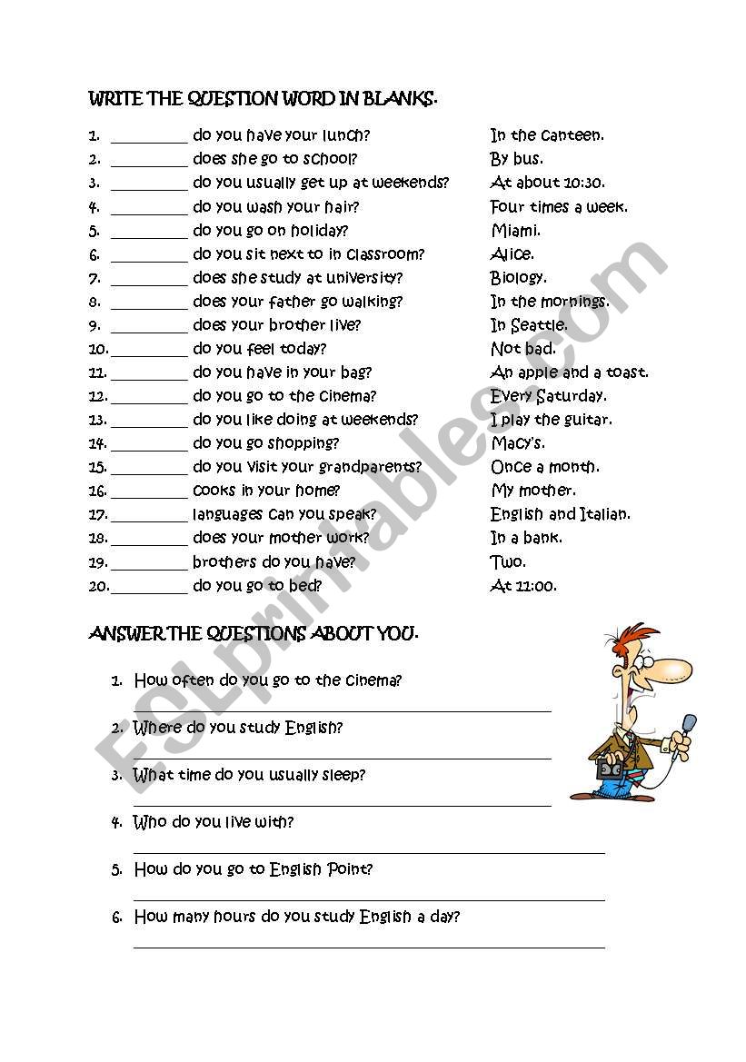 Question words worksheet