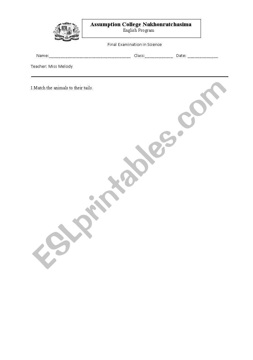 final exam science worksheet