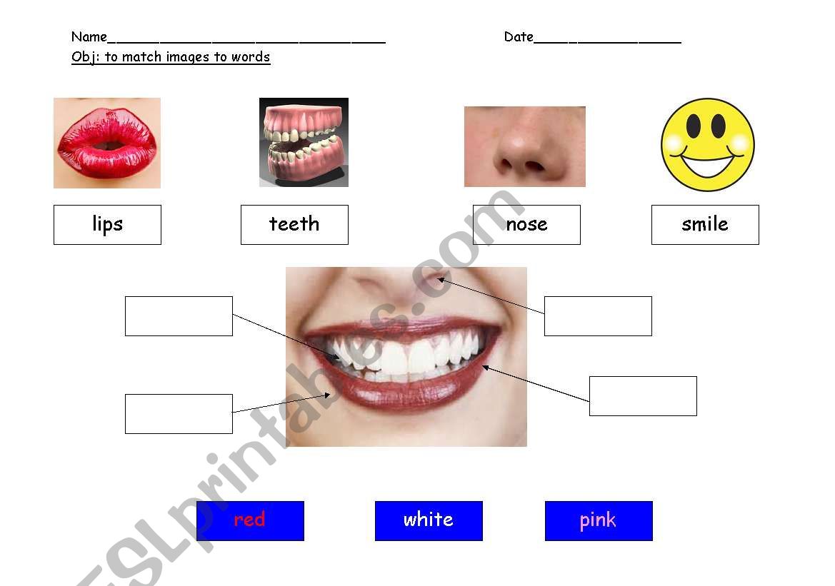 Mouth and Teeth worksheet
