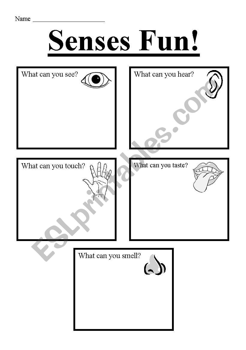 Senses Fun worksheet