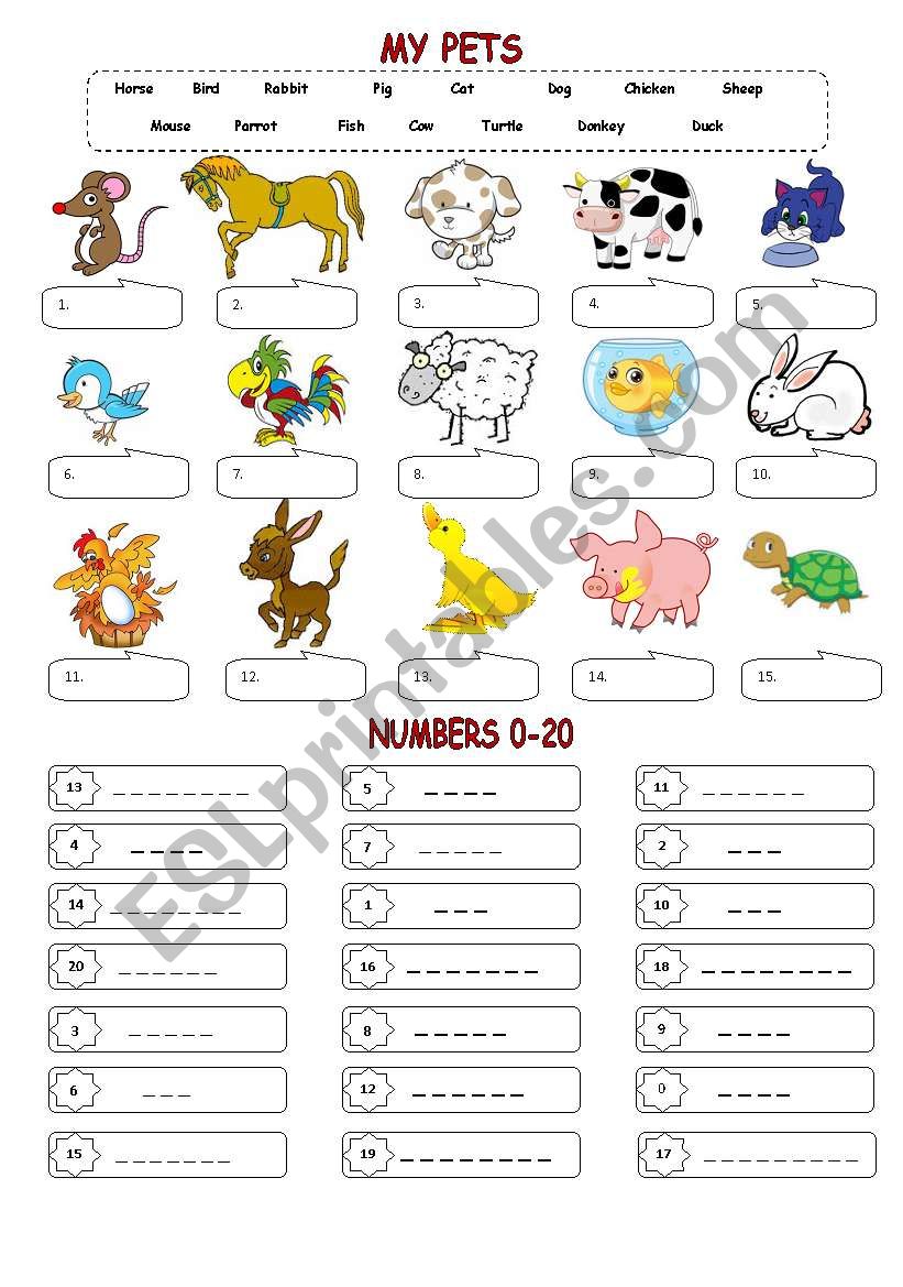 My pets & Numbers 0-20 worksheet