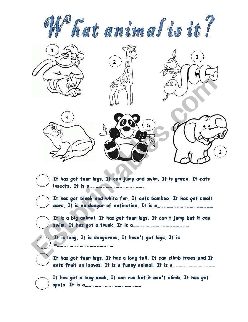 Animals worksheet