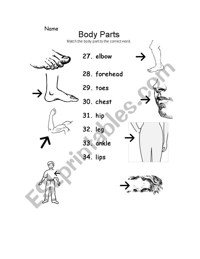 Body part page 4  worksheet