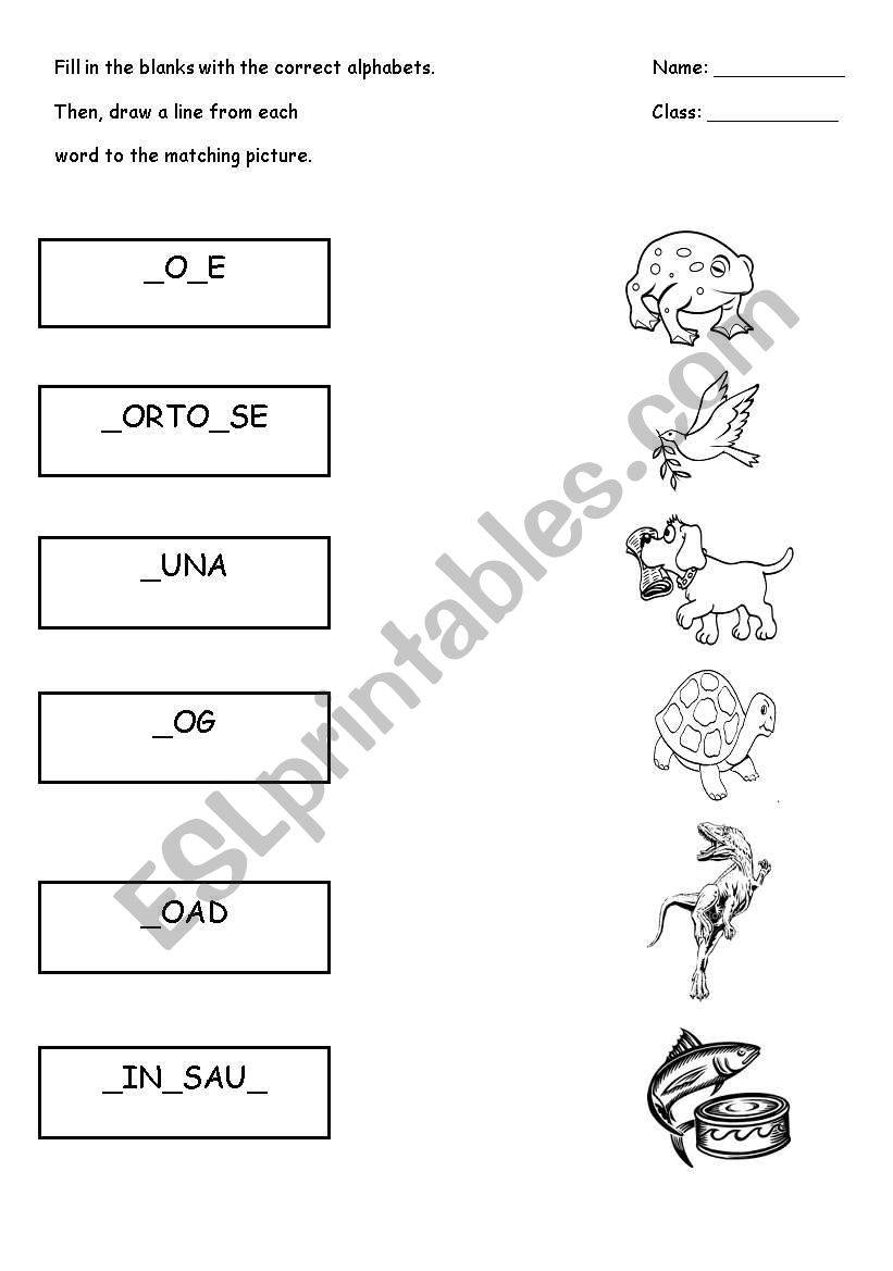 T and D Animals Worksheet worksheet