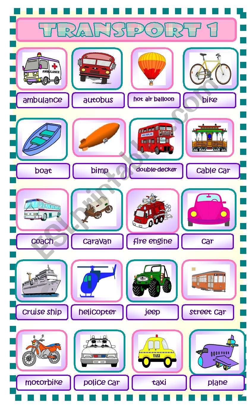 Transport Part 1 worksheet