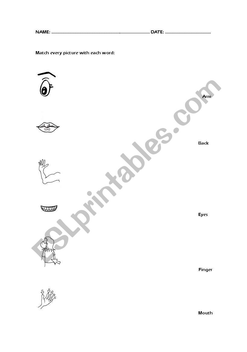 parts of the body worksheet