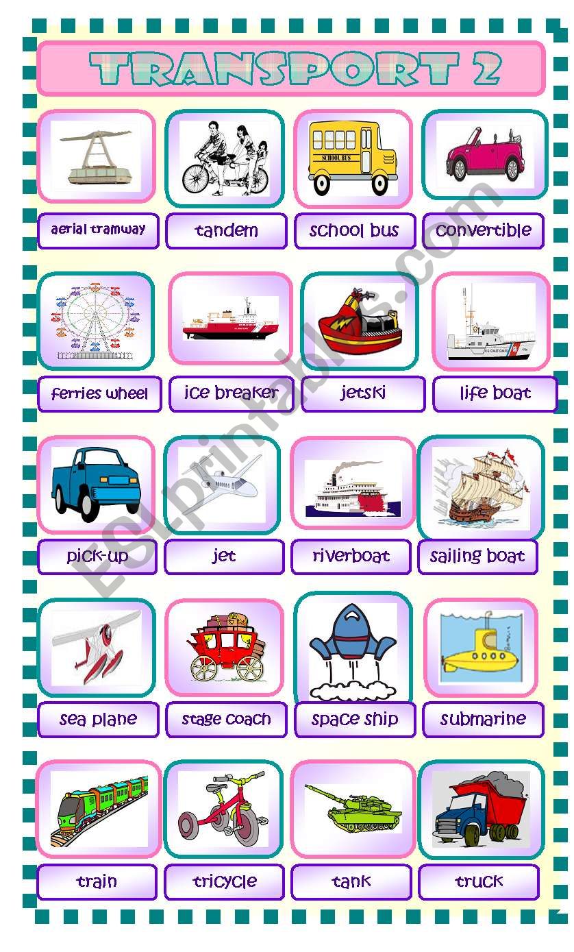 Transport Part 2 worksheet