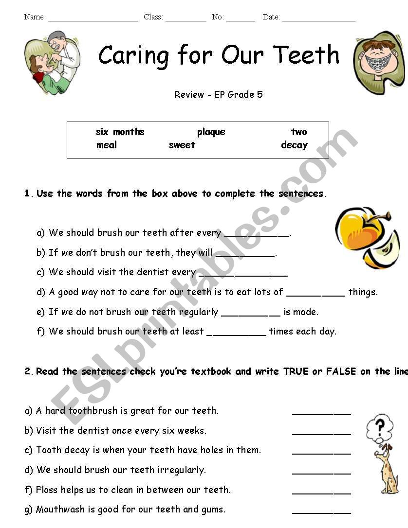 Caring For our Teeth Worksheet