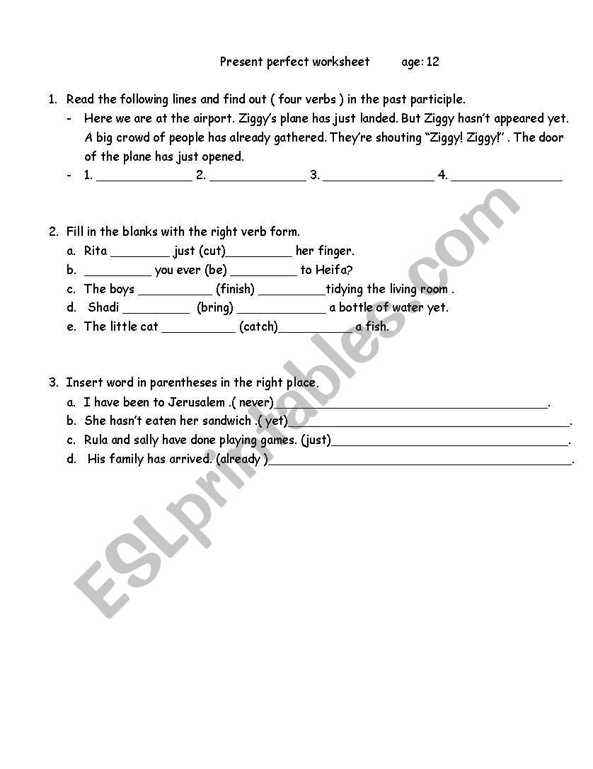 present perfect  worksheet